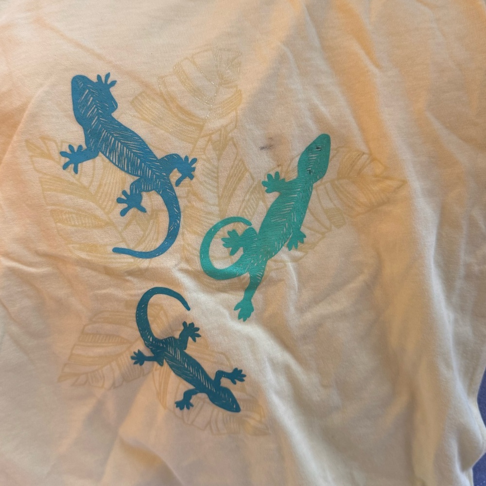 NWT J. Crew Boy's Glow in the Sun graphic tee XS needs wash dirt from pallet - Picture 4 of 5